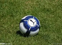 激战正酣,珀斯光荣以,人阵容挑战,678体育平台,678体育官方网站,678体育登录入口,678体育app下载