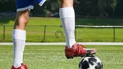 678体育 资讯 105647 xw2