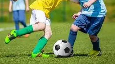 大乐透期号专家推荐：日职乙大阪俱乐部新泻天鹅分析